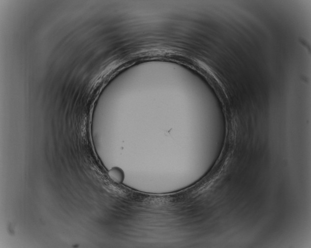 X0000102030778200807181005