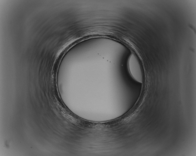 X0000102030779200807181005
