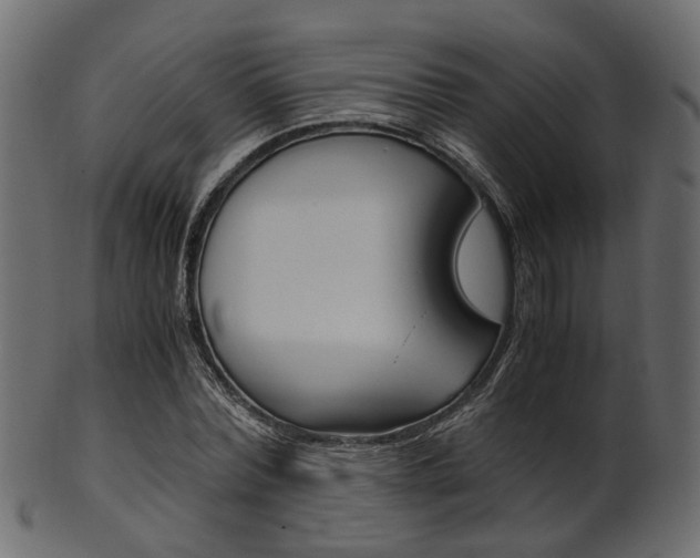 X0000102030780200807181005