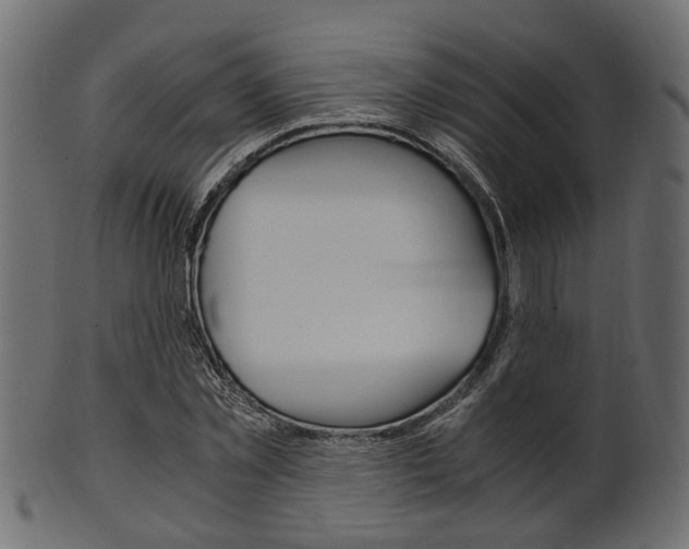 X0000102030781200807181005