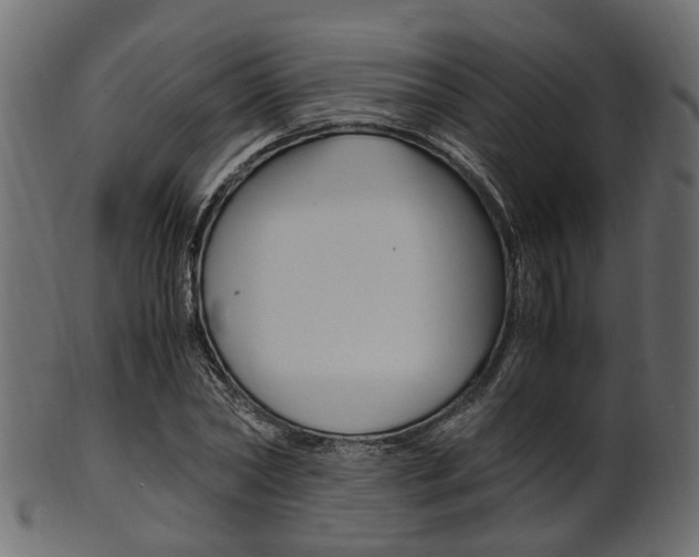 X0000102030782200807181005