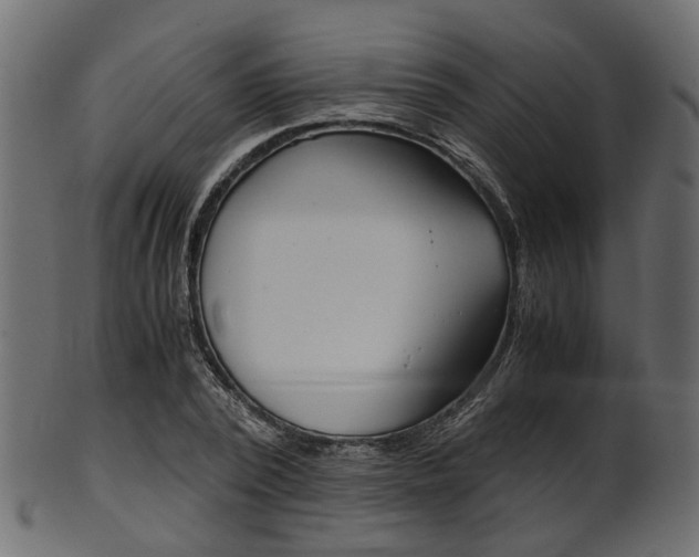 X0000102030784200807181005