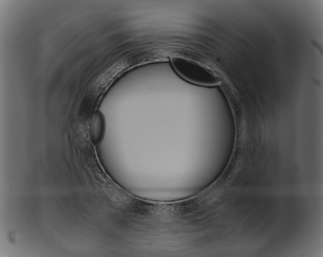 X0000102030785200807181005