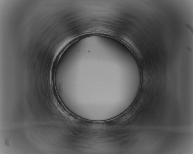 X0000102030788200807181005
