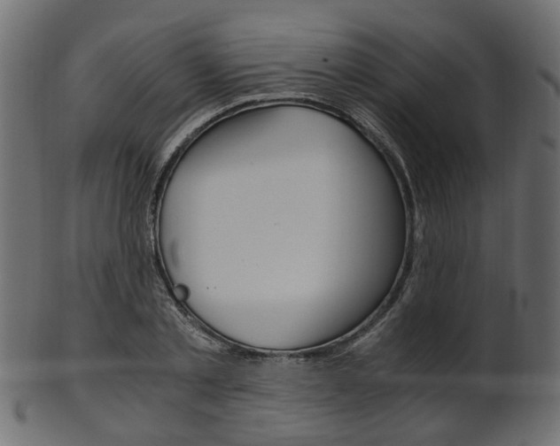 X0000102030789200807181005