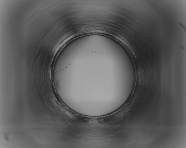 X0000102030790200807181005