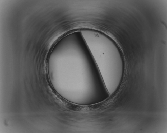 X0000102030791200807181005