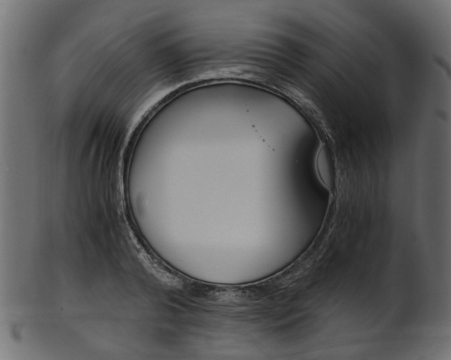 X0000102030792200807181005