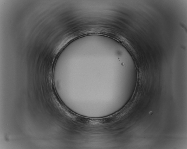 X0000102030794200807181005