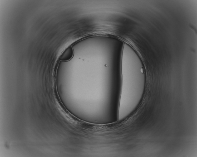 X0000102030795200807181005