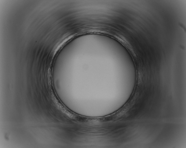 X0000102030798200807181005