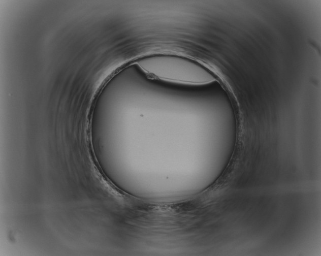 X0000102030799200807181005