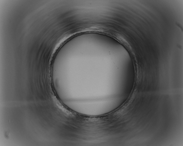 X0000102030800200807181005