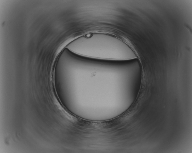 X0000102030803200807181005