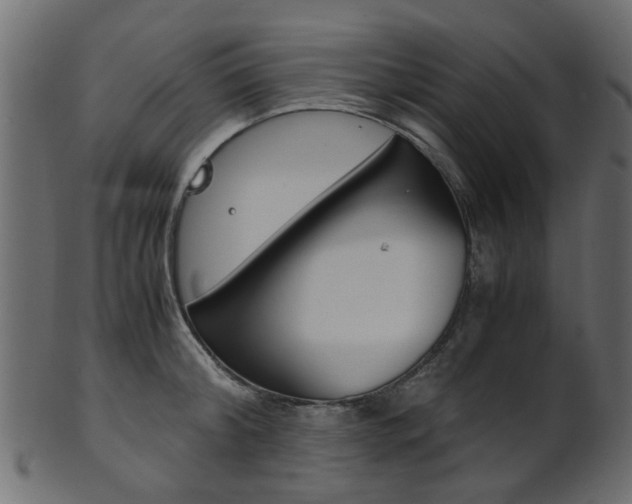 X0000102030804200807181005