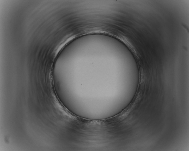 X0000102030806200807181005