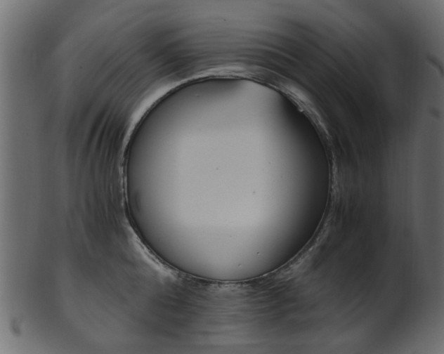 X0000102030808200807181005