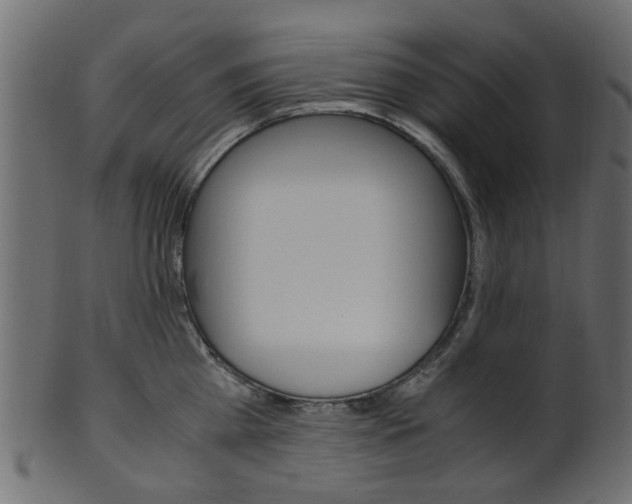 X0000102030809200807181005