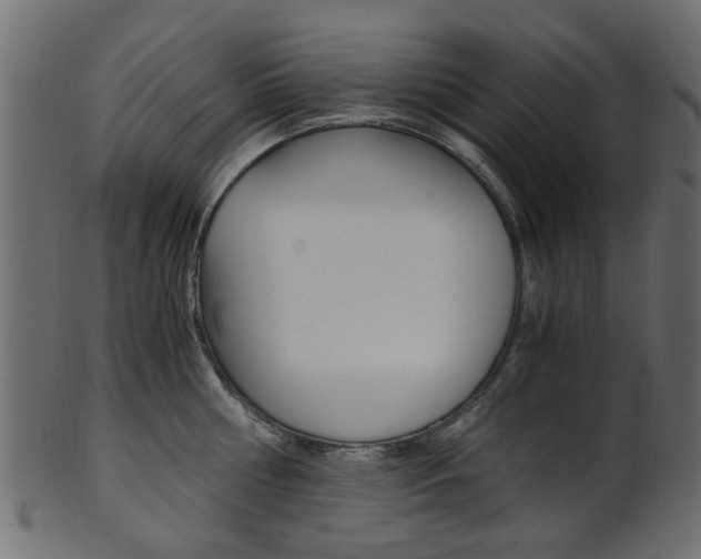 X0000102030810200807181005