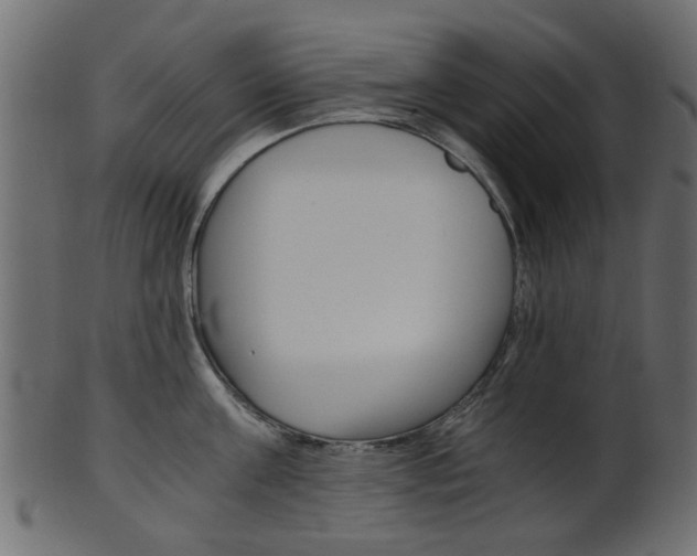 X0000102030811200807181005