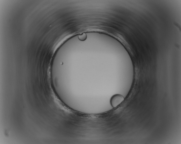 X0000102030814200807181005