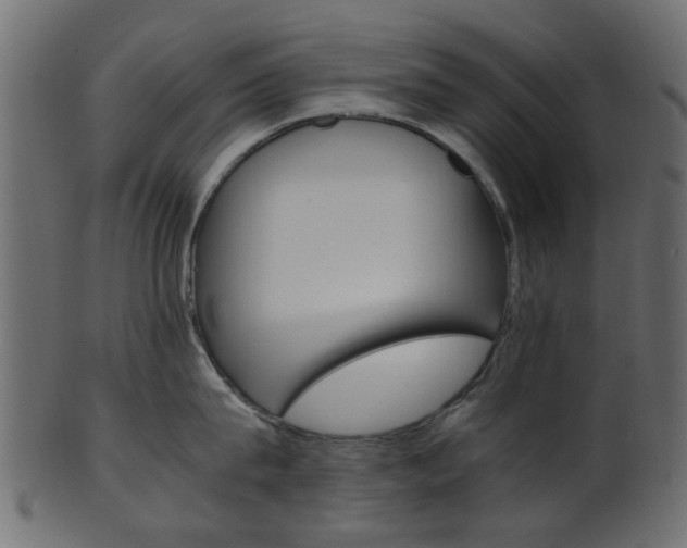 X0000102030815200807181005