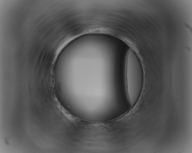 X0000102030816200807181005