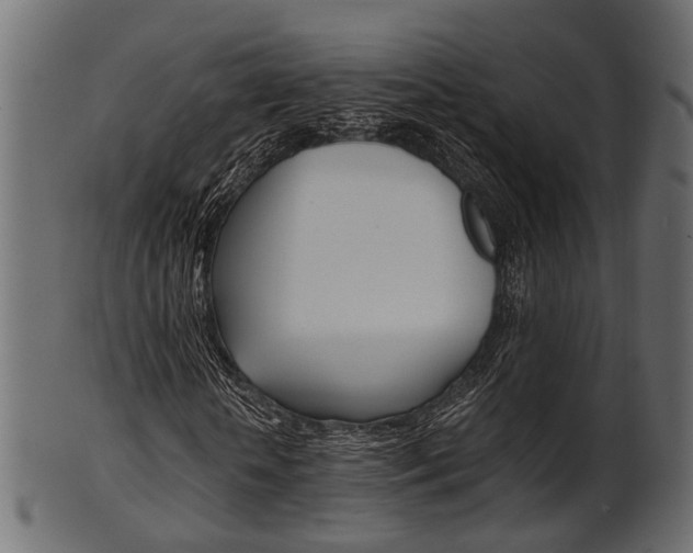 X0000102030818200807181004
