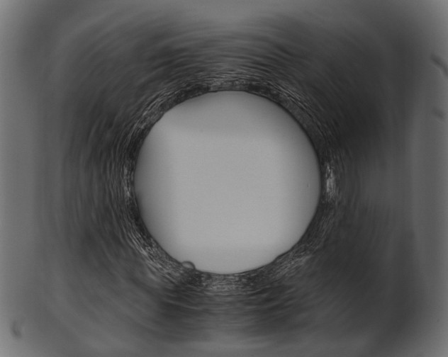 X0000102030819200807181004
