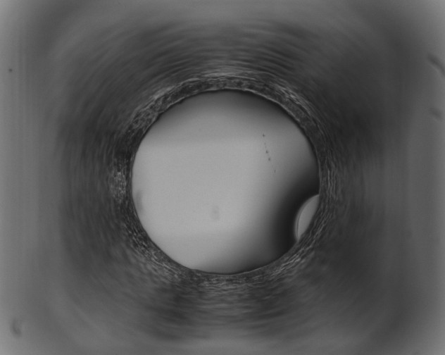 X0000102030821200807181004