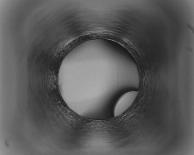 X0000102030822200807181004