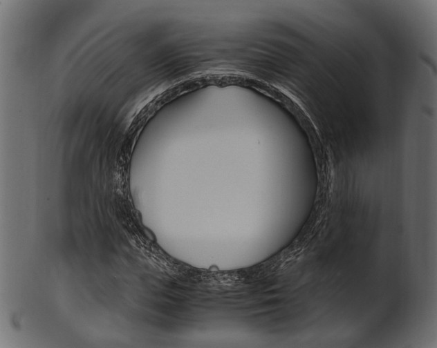 X0000102030823200807181004
