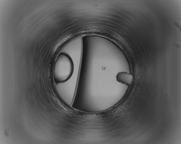 X0000102030826200807181004
