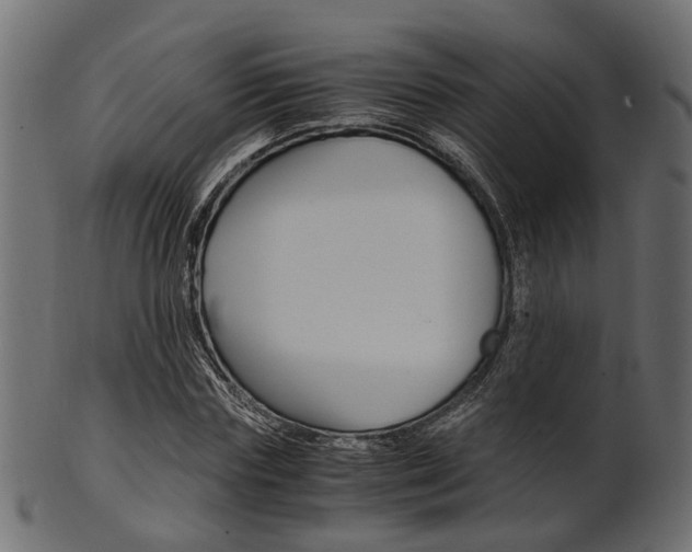 X0000102030827200807181004