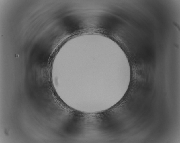 X0000102030828200807181004