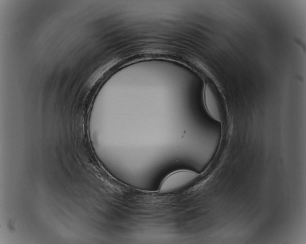X0000102030829200807181004