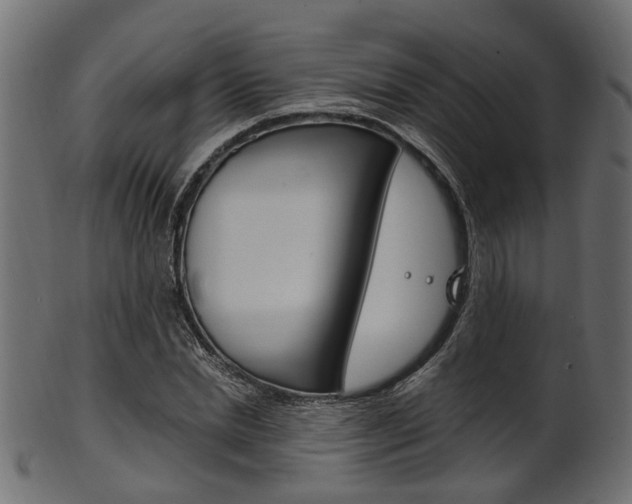 X0000102030830200807181004