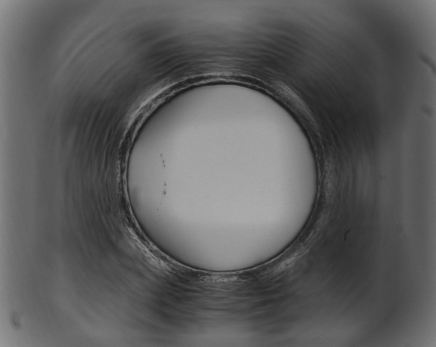 X0000102030831200807181004