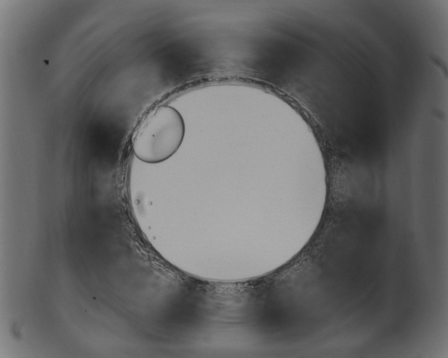 X0000102030832200807181004