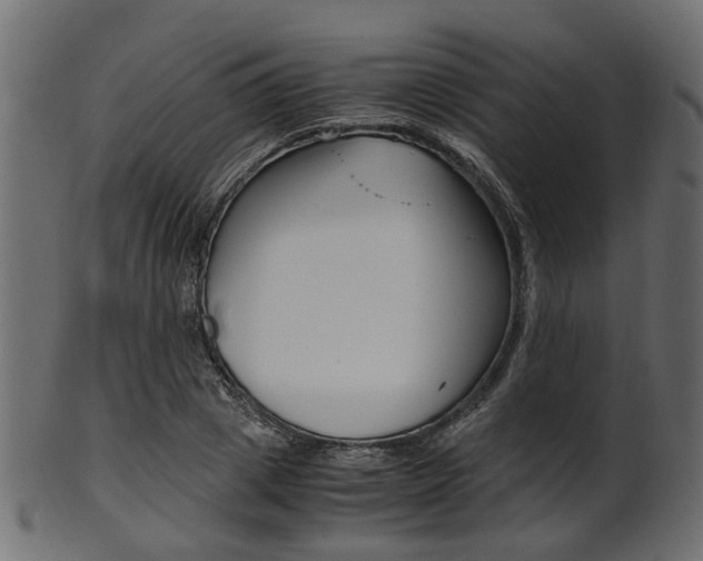 X0000102030833200807181004