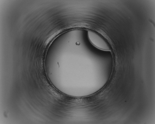 X0000102030834200807181004