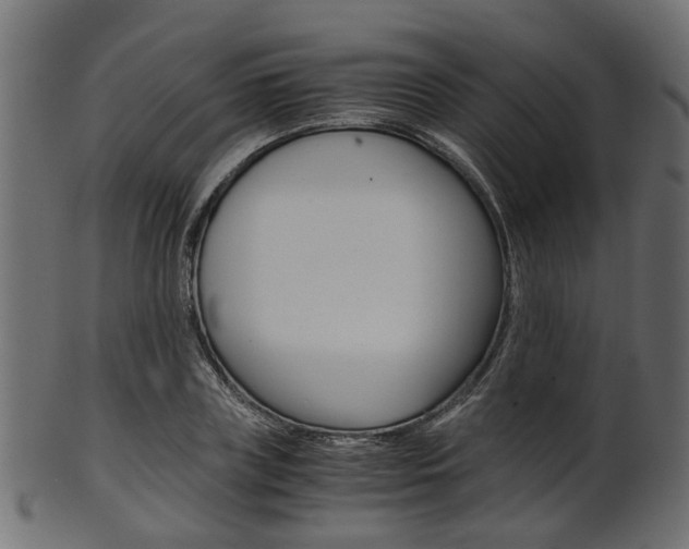 X0000102030835200807181004
