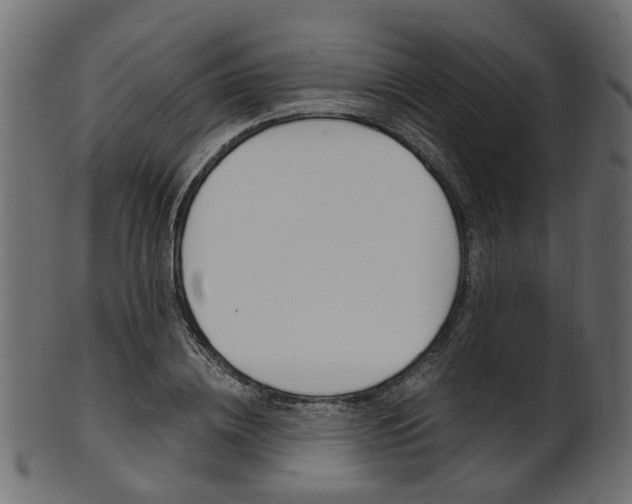 X0000102030836200807181004