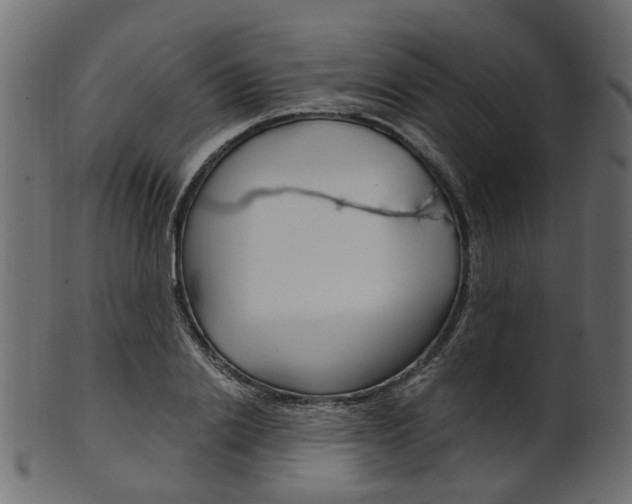 X0000102030838200807181004