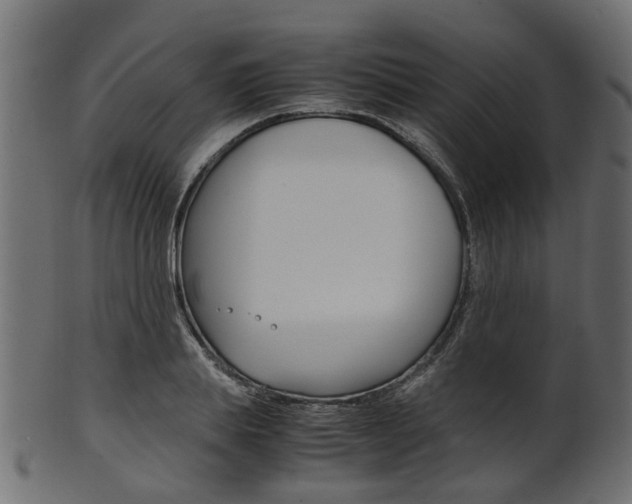 X0000102030839200807181004