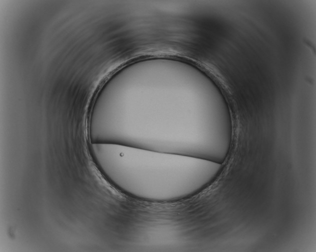 X0000102030840200807181004