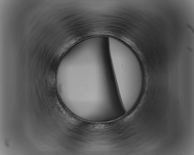 X0000102030841200807181004