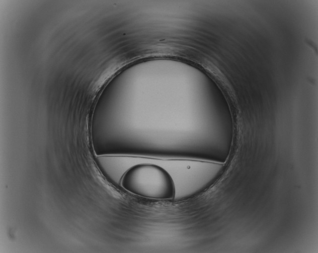 X0000102030842200807181004
