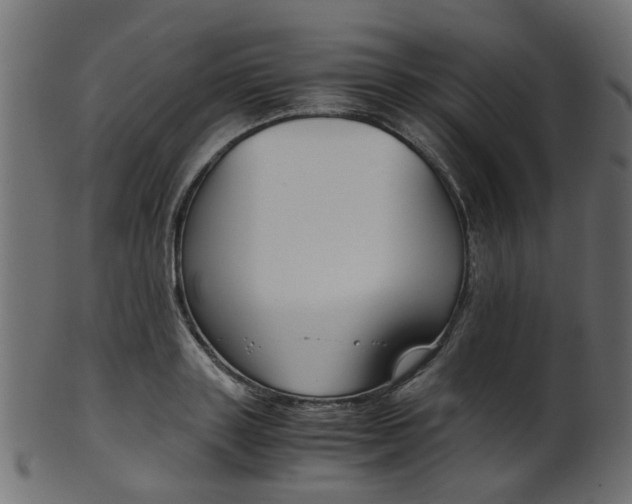 X0000102030843200807181004