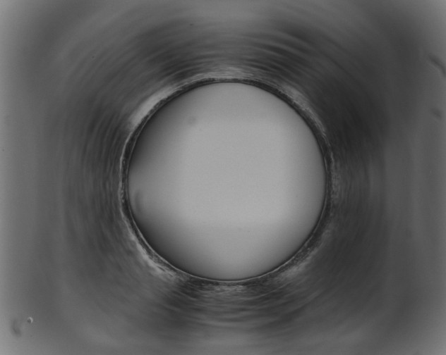 X0000102030845200807181004